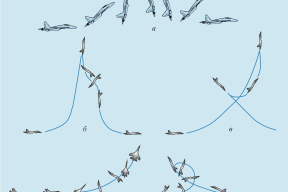 «Вираж, который взял режим, выглядит еще интереснее»