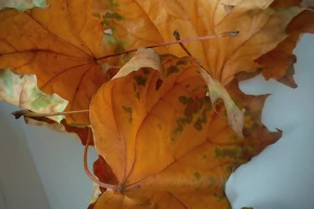 Дневник войны, глава 277. «Восстановление начинается не с миллиардов, а с простых, гениальных идей»