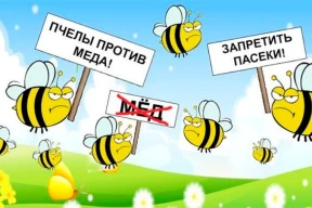 «Можно вечно смотреть на то, как течет вода, горит огонь и как Лукашенко «борется» с посредниками»